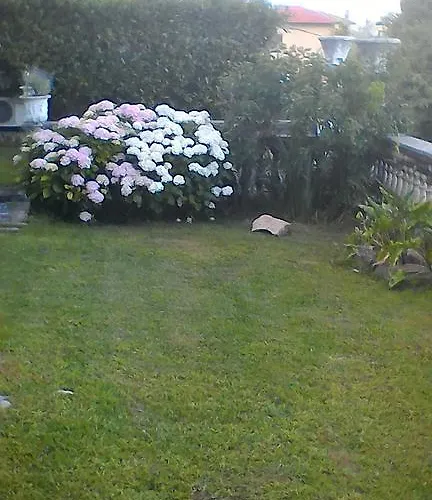 Linus By Breathe Liguria La Spezia